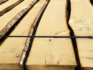 Tavole in legno 30